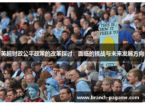 英超财政公平政策的改革探讨：面临的挑战与未来发展方向