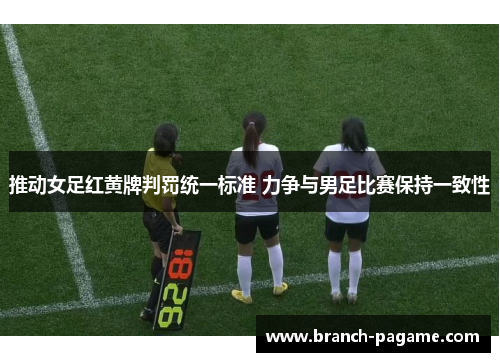 推动女足红黄牌判罚统一标准 力争与男足比赛保持一致性